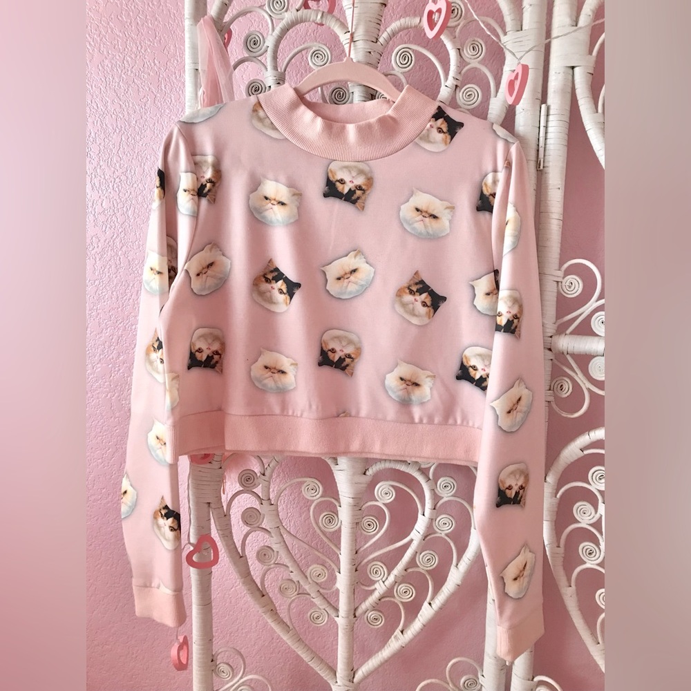 Cat print pink mock neck crop top sweater